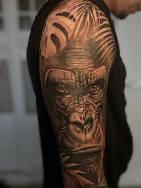 Gorilla portret