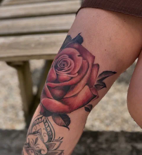 Roos op de knie